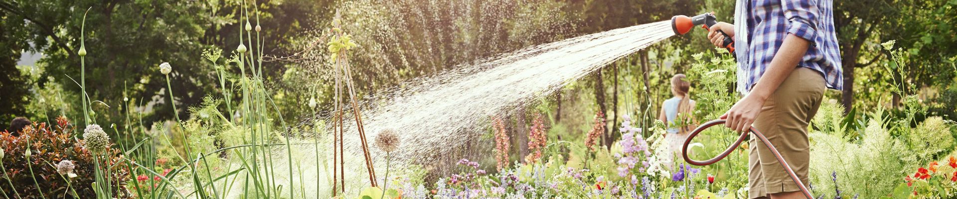 Arrosage du jardin